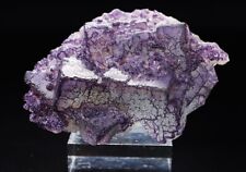 WOW  GEM Lilac “QR Code” Fluorite Crystals- Qinglong Mine,Guizhou, China picture