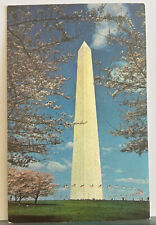 Vintage Post Card Washington Monument Washington DC DMV Real Photo picture