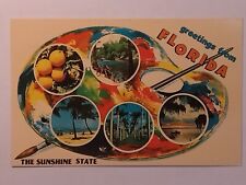 Greetings From Florida Suwannee River Days Last Catch Royal Palms Postcard picture
