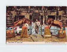 Postcard Lion Show St. Louis Zoo St. Louis Missouri USA picture