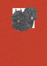 Bouvier des Flandres Birthday Card 5 x 7 with Envelope picture