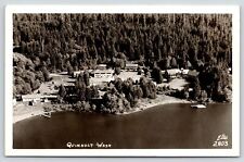 Quinault Washington~Birdseye Hotels & Lodge on Lake~Rain Forest~c1950 RPPC picture