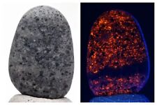 YOOPERLITE SODALITE Fluorescent Crystal Mineral Specimen Beach Rock MICHIGAN picture