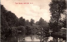 Postcard~Walton New York~East Brook~Sidewheel Boat 