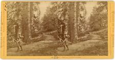 YOSEMITE SV - A Yosemite Tourist - EJ Muybridge 1870s picture