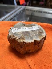 1.8 Lb Beautiful petrified wood slice mineral specimen picture