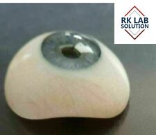 Vintage Human Prosthetic Eye ~ Antique Glass Artificial Blue Eye picture