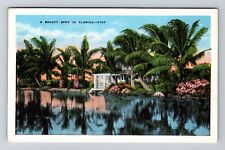 FL-Florida, A Scenic Beauty Spot, Vintage Postcard picture