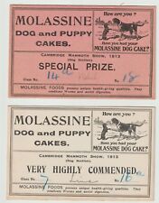 1913 Cambridge Mammoth Show Dog Section Prize Cards  (Two) 805J picture