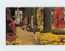 Postcard Chrysanthemum Display Main Conservatory Longwood Gardens Pennsylvania picture