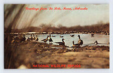 Postcard Nebraska Blair NE De Soto Wildlife Refuge Missouri Valley IA 1970s  picture
