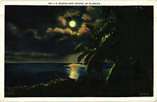A Moonlight Scene in Florida - Palm Trees and Ocean Postcard Posted picture