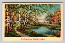 Osborn OH-Ohio, Scenic Greetings, Antique Souvenir, Vintage Postcard picture