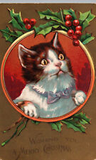 Vintage Postcard Cat Antique Merry Christmas Holly Berry Bow Tie Xmas Cats picture