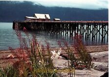 Postcard Port Chilkoot Dock, Haines, Alaska picture
