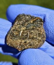 Meteorite**NWA 13788, LUNAR MELT BRECCIA**1.646 gram Lunar Individual picture