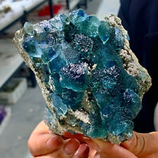 1.19LB Rare crystal samples of transparent green blue cubic fluorite/China picture