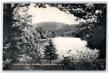 c1940s Winnisook Club Oliverea Ulster County New York NY Unposted Trees Postcard picture