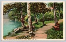 Postcard NH White Mountains Along Echo Lake WB UNP A8 picture