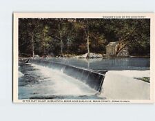 Postcard Weidner' Dam Manatawny Oley Valley Berks County Pennsylvania USA picture