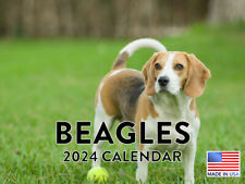 Beagle Calendar 2024 Wall Calender Beagle Gifts picture