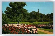 Hales Corners WI-Wisconsin, Alfred L Boerner Botanical Gardens Vintage Postcard picture