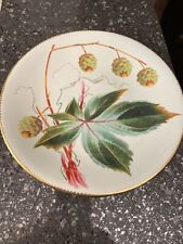 Antique Cabinet Plate, Hand Painted Hops, 19th C Porcelain 9” Plate #2 picture