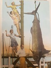 C 1937 World Record Swordfish Caught At Balboa CA Antique White Border Postcard picture