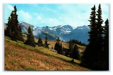 Postcard Olympic Mountains from a Meadow WA J12 picture
