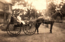 c1910 HORSE DRAWN CARRIAGE FINELY DRESSED LADY DRIVER RPPC POSTCARD  43-154 picture
