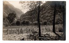 RPPC Real Photo Postcard - Provo Canyon, Utah, circa 1913 picture