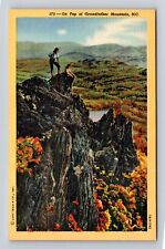NC-North Carolina, On Top Of Grandfather Mountains, Antique, Vintage Postcard picture