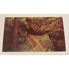 Seven Caves Bainbridge Ohio Cave Canyon Trail/ Sweetheart Falls Vintage Postcard picture