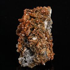 Rare VANADINITE lustrous crystals on matrix 7.34 oz specimen #9800T - MOROCCO picture