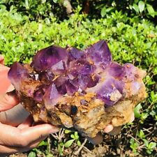 2.64LB Natural Amethyst Cluster Purple Quartz Crystal Rare Mineral Specimen 491 picture