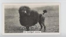 1938 Sinclair Champion Dogs Tobacco Poodles Poodle #2 0a4f picture
