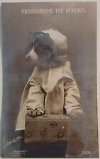 Vintage Postcard Rotograph Bromide Dog Dressed as Judge RPPC  AA16 picture