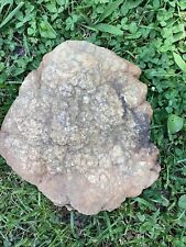 15 Lb + Indiana Geode  Crystals , minerals,fossil   Intact Jewelry Lapidary picture