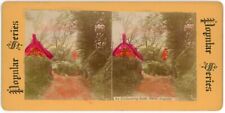 c1900's Colorized Real Photo Stereoview Card An Enchanting Spot, Rural England picture