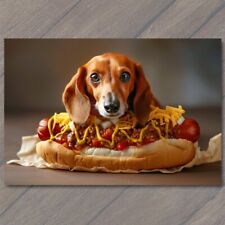 POSTCARD Hot Dog Dachshund Puppy Chili Cheese Strange Unusual Weird Funny Wiener picture