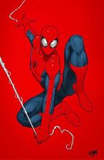 🔥🕷 AMAZING SPIDER-MAN 19 NAKAYAMA Unknown 616 Comics Virgin Variant picture