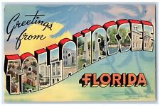 c1940's Greetings From Tallahassee Florida FL, Large Letters Vintage Postcard picture