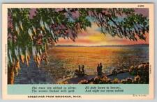 1940's GREETINGS FROM BRIDGMAN MICHIGAN VINTAGE CURT TEICH LINEN POSTCARD #3 picture