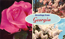 Greetings from Georgia spring flowers vintage unposted postcard picture