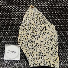 Awesome dalmation Jasper Slab, Cab/Collect, Great Color and Design, Mexico picture
