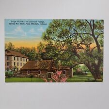 Large Willow Tree Old Village Spring Mill Mitchell IN Indiana Vintage Postcard picture