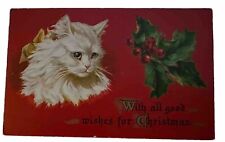 Cute White Cat  kitten with Holly Antique Embossed Christmas Postcard~k87 picture