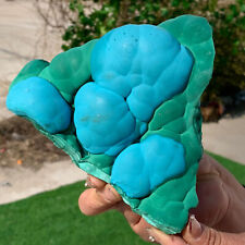 1.97LB Natural chrysocolla/Malachite transparent cluster rough mineral sample picture