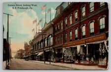 Pittsburgh PA Carson Street Looking West c1910 Pennsylvania Postcard B44 picture