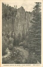 Postcard C-1910 New Mexico Cimarron Canyon Raton Taos Highway 24-5196 picture